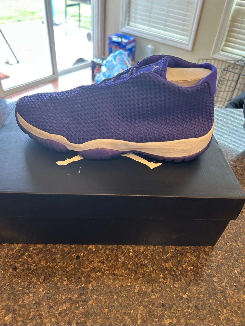 Jordan Future Men's Purple and White  Sneakers (2014)
